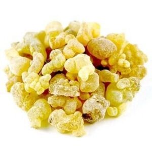 Boswellia sacra